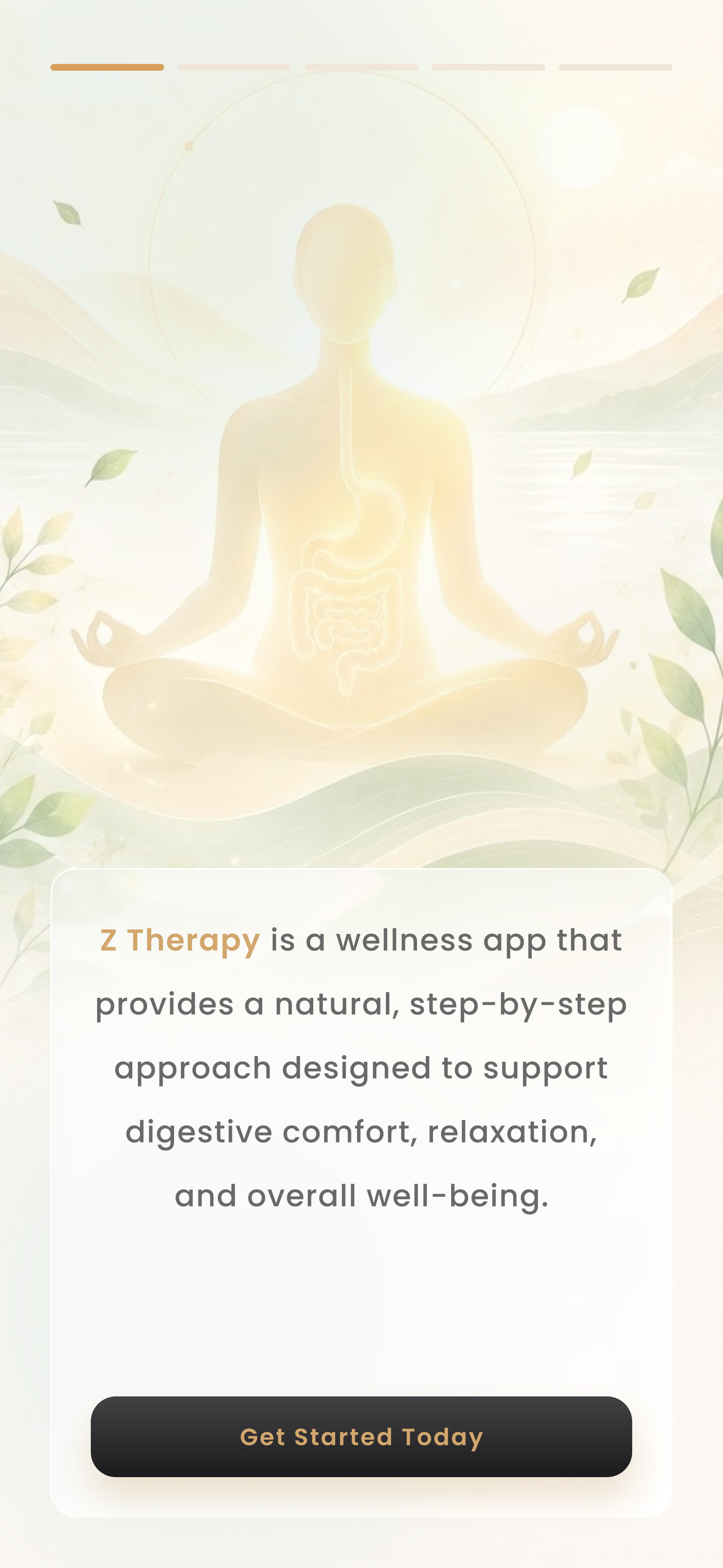 Z Therapy onboarding screen